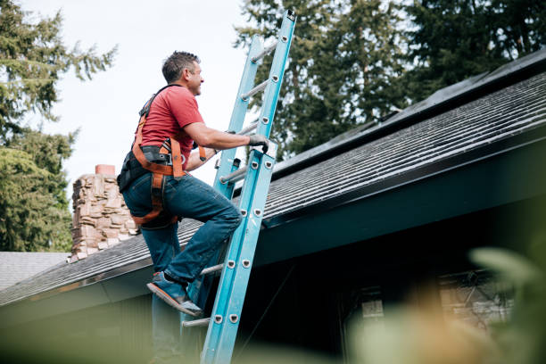 Steel Roofing in Willard, OH